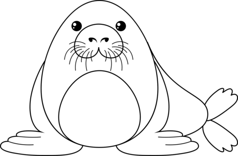 Cartoon Seal Coloring Page